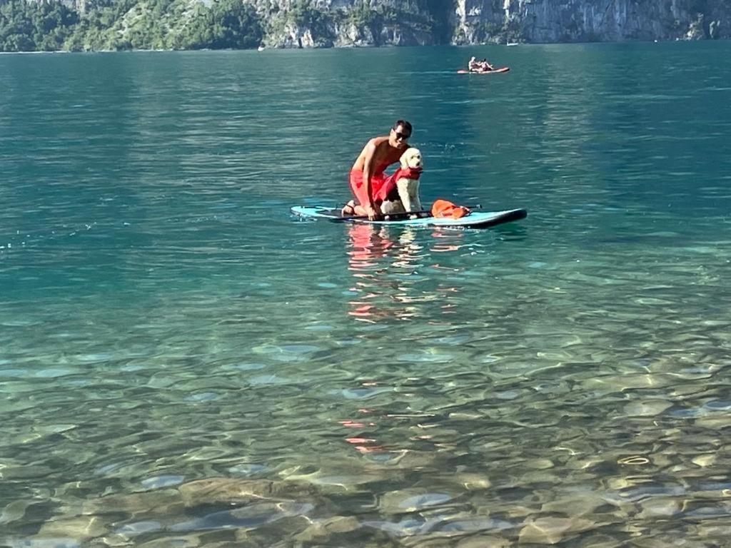 Doodle'S Amazing Chalet -Walensee - Flumserberg - Churfirsten - Heidiland - Pool - Sauna 莫尔斯 外观 照片