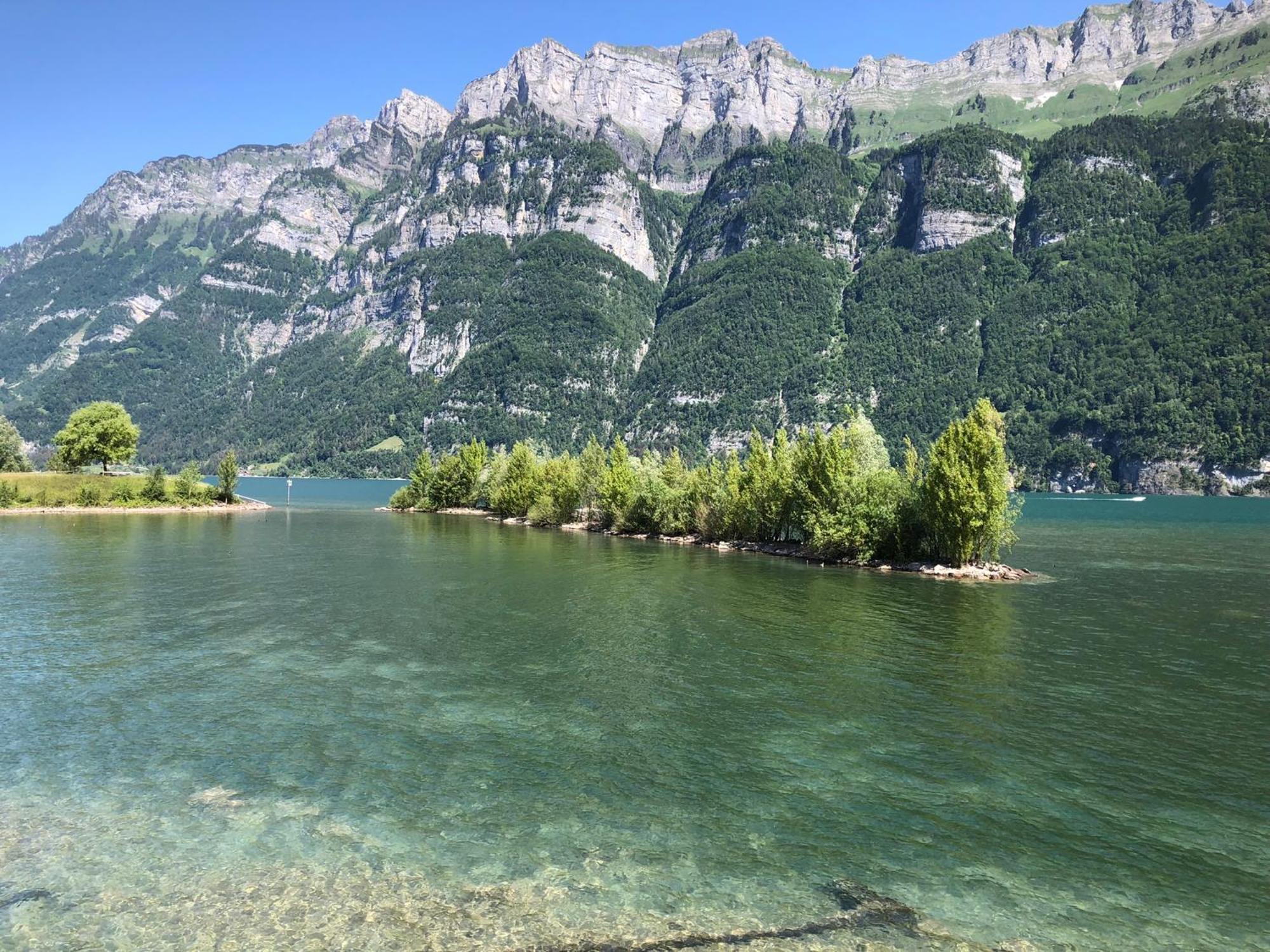 Doodle'S Amazing Chalet -Walensee - Flumserberg - Churfirsten - Heidiland - Pool - Sauna 莫尔斯 外观 照片